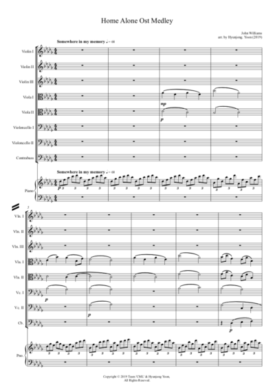 Home Alone (String Chamber, Piano) - Image 3